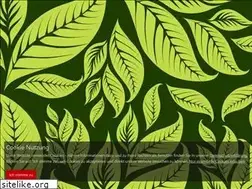 Sites similar to reggaeinberlin.com