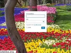 Sites similar to regina.im