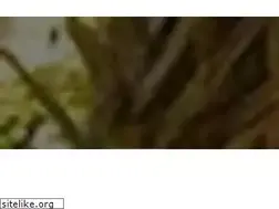 Sites similar to rehabisforquitters.com