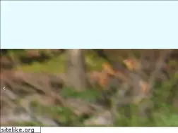 Sites similar to reidequine.com