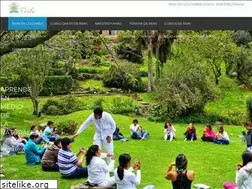 Sites similar to reikicolombia.org