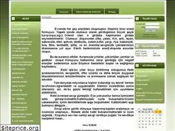 Sites similar to reikigunesi.com