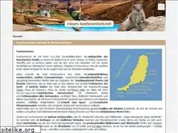 Sites similar to reisen-fuerteventura.com