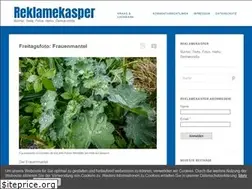 Sites similar to reklamekasper.de