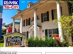 Sites similar to remaxtricity.com
