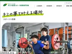 Sites similar to renaiss.ac.jp
