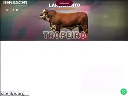 Sites similar to renascerbiotecnologia.com.br