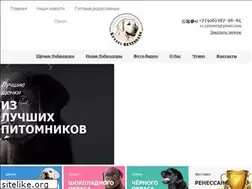 Sites similar to rendog.net