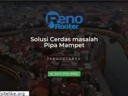 Sites similar to renorooter.com