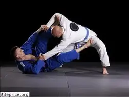 Sites similar to renzogracieutah.com