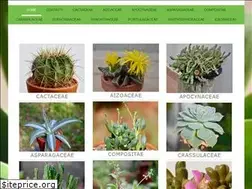 Sites similar to renzovannetti.it