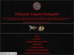Sites similar to reptile.fisek.com.tr