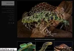 Sites similar to reptiles4all.com