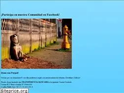 Sites similar to rescatecaninochile.cl