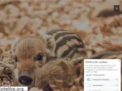 Sites similar to reservahijosdelbosque.org
