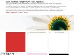 Sites similar to resimresimler.wordpress.com