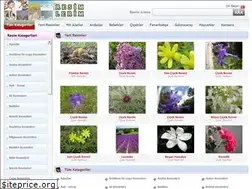 Sites similar to resimvip.com