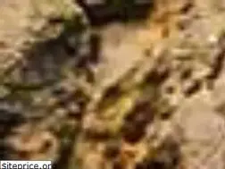 Sites similar to responsiblethailand.co.uk
