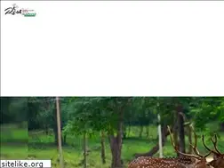 Sites similar to restinnatureresort.com