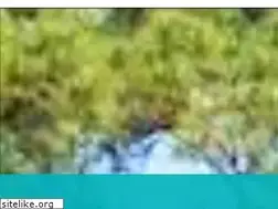 Sites similar to retreatrvresort.com