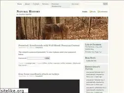 Sites similar to retrieverman.wordpress.com