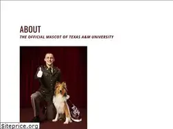 Sites similar to reveille.tamu.edu
