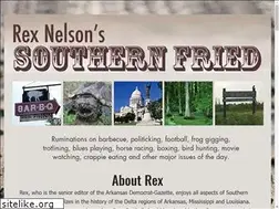 Sites similar to rexnelsonsouthernfried.com