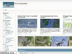 Sites similar to rfst.dk