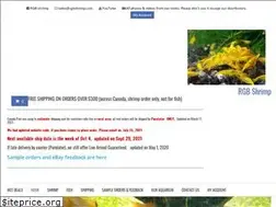 Sites similar to rgbshrimp.com