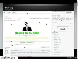 Sites similar to rgk.fr