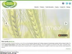 Sites similar to rgslagro.com