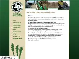 Sites similar to rgvsugar.com