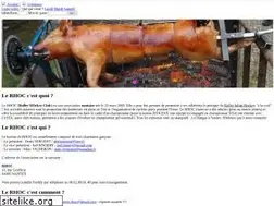 Sites similar to rhoc.fr