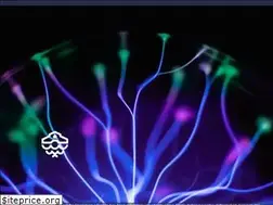 Sites similar to rialtomarkets.com