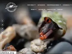 Sites similar to ribtonimages.com