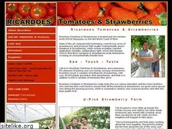 Sites similar to ricardoes.com