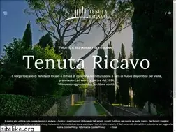 Sites similar to ricavo.com