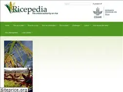 Sites similar to ricepedia.org