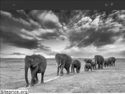 Sites similar to richardbernabe.com