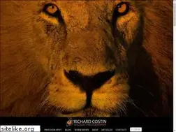 Sites similar to richardcostin.com
