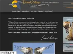 Sites similar to richardettlinger.com