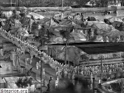 Sites similar to richardmosse.com