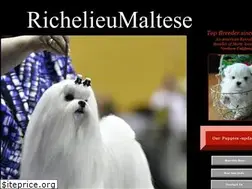 Sites similar to richmaltese.com