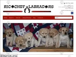Sites similar to ricochetlabradors.com