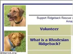 Sites similar to ridgebackrescue.org