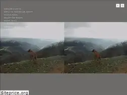 Sites similar to ridgebacksandfriends.org