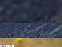 Sites similar to ridgelinenz.com