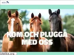 Sites similar to ridgymnasium.nu