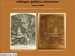 Sites similar to ridinger-niemeyer.com