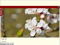 Sites similar to riegler-grimsing.at